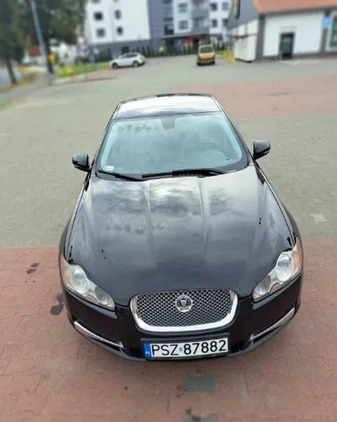 Jaguar XF cena 45000 przebieg: 157000, rok produkcji 2010 z Szamotuły małe 46
